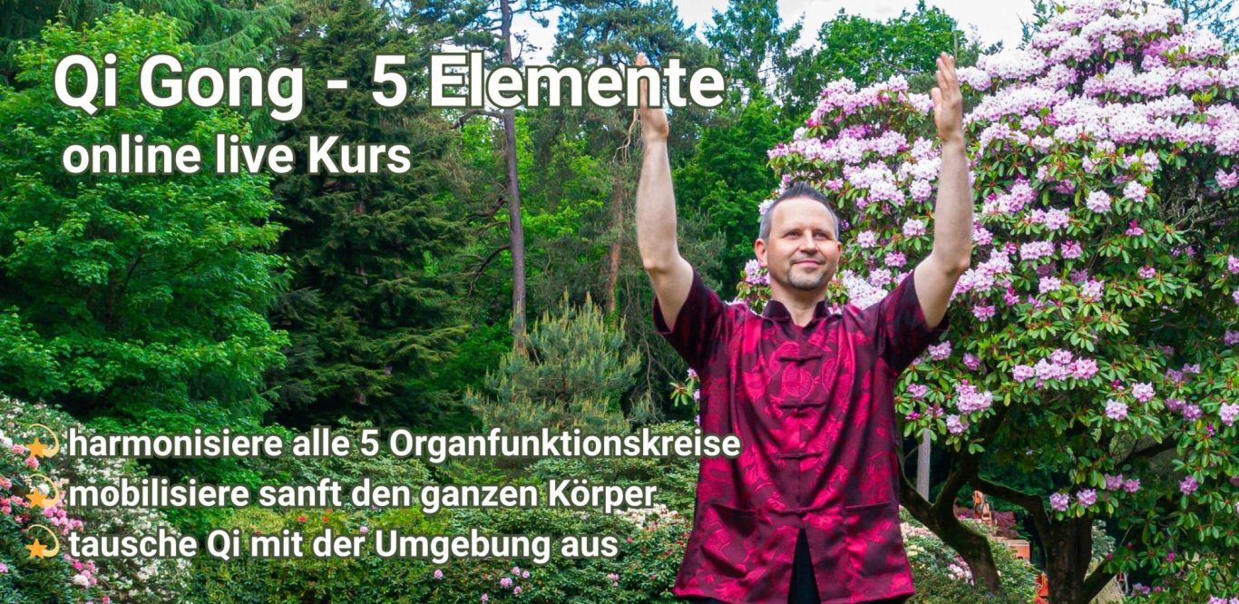 Mann in rotem Shirt praktiziert Qi Gong vor blühenden Pflanzen im Freien.