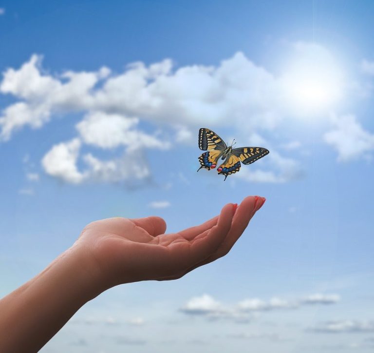 Eine Hand hält einen schmetterlingsförmigen Flügel vor einem blauen Himmel.
